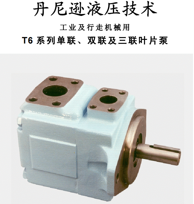丹尼遜T6 系列單聯(lián)、雙聯(lián)及三聯(lián)葉片泵